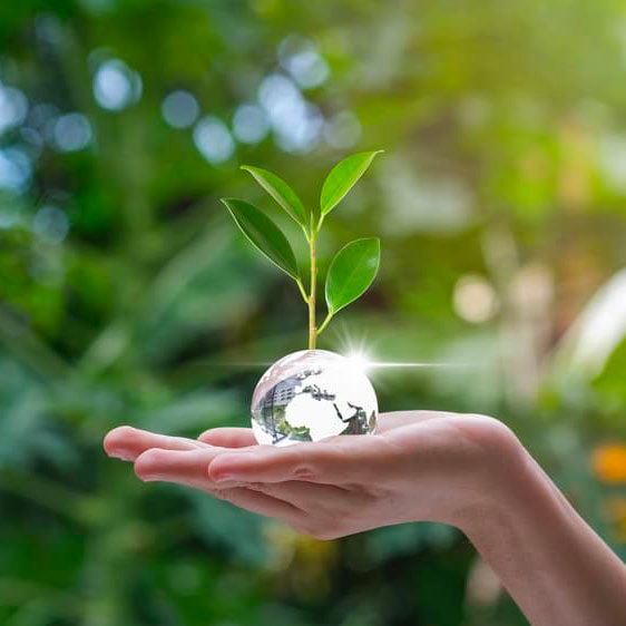 Main tenant une jeune pousse et un globe de verre dans la nature